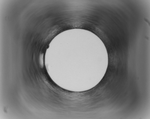 X0000099550028200806131222