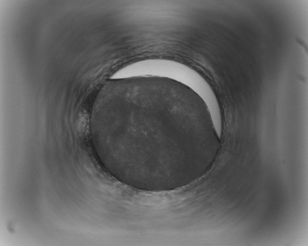 X0000099550029200806131222