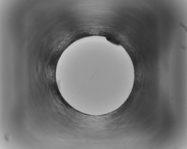 X0000099550031200806131222