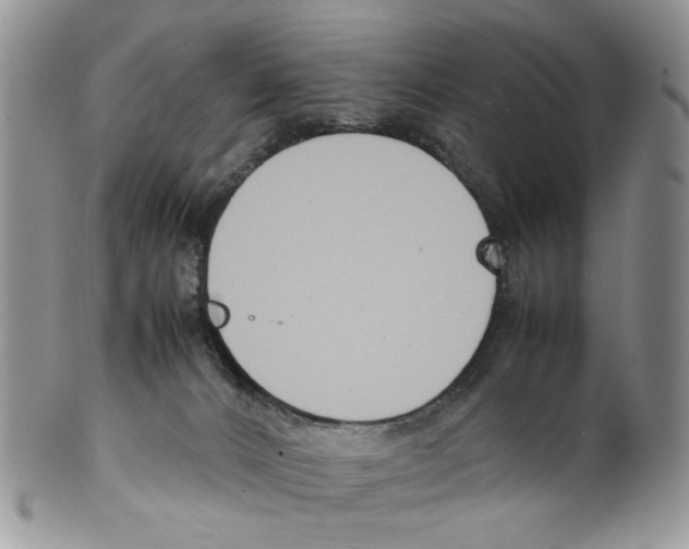 X0000099550032200806131222