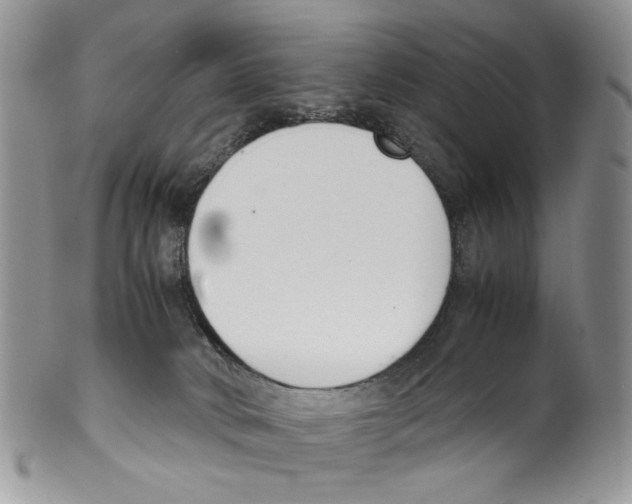 X0000099550034200806131222