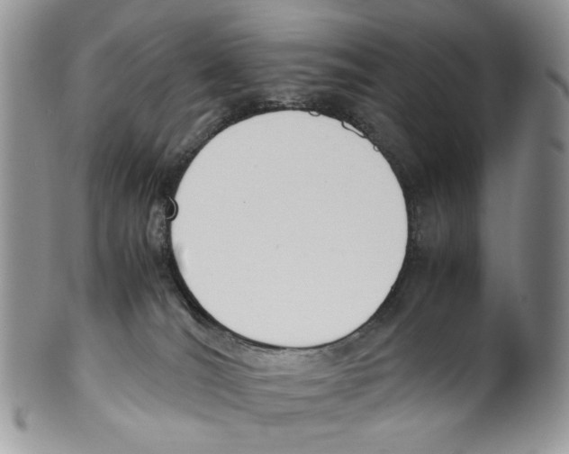 X0000099550036200806131222