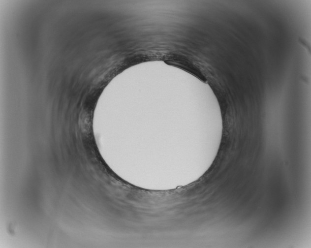 X0000099550037200806131222