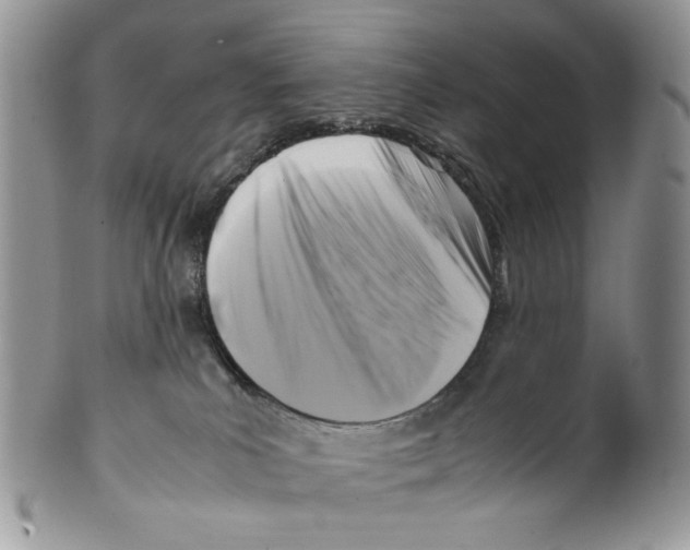 X0000099550039200806131222