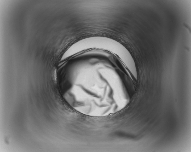 X0000099550041200806131222