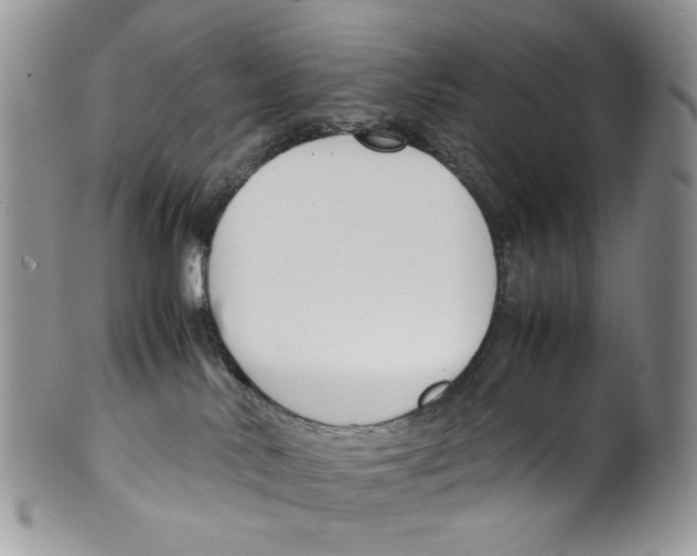 X0000099550042200806131222