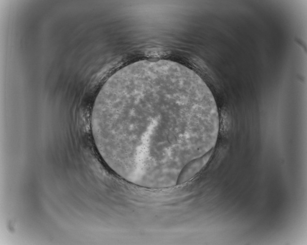 X0000099550043200806131222