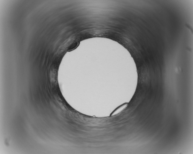 X0000099550044200806131222