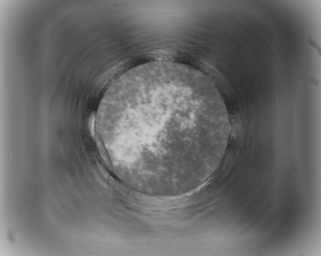 X0000099550047200806131222