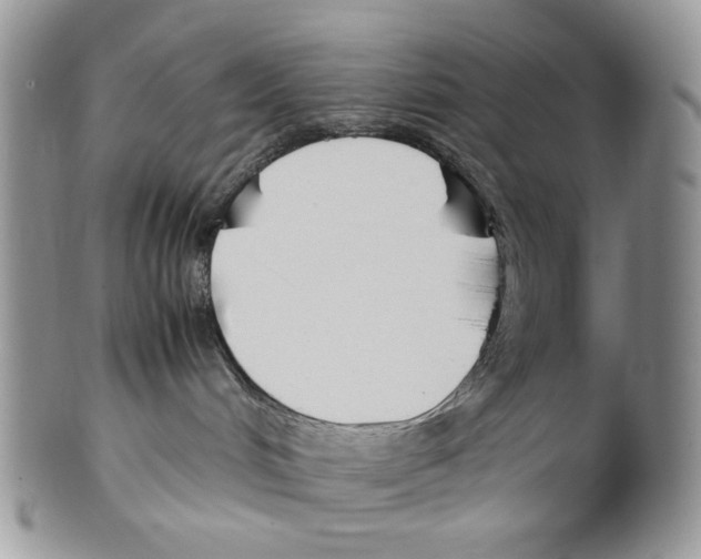 X0000099550048200806131222