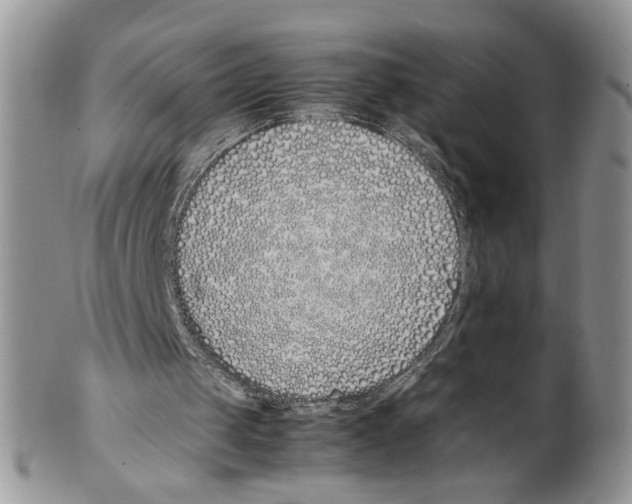 X0000099550049200806131221