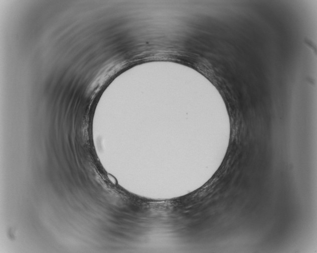 X0000099550050200806131221