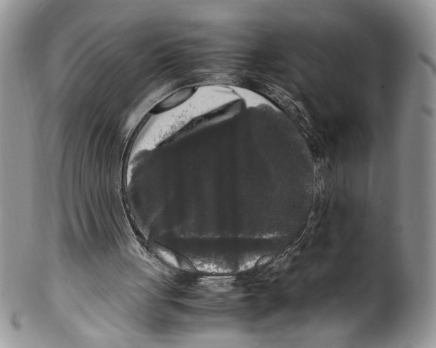 X0000099550051200806131221