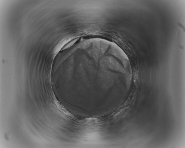 X0000099550052200806131221