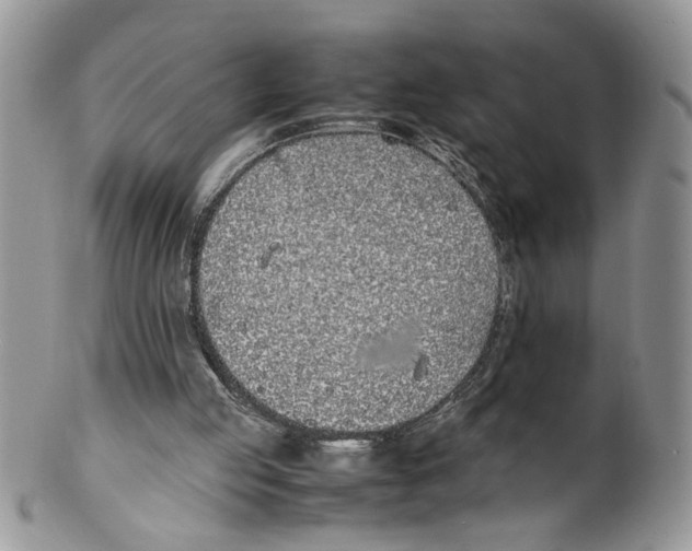 X0000099550053200806131221