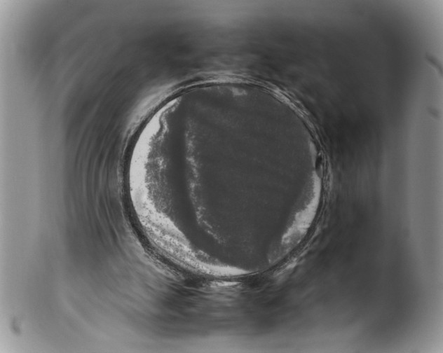 X0000099550055200806131221