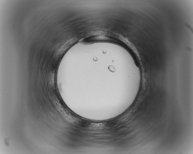 X0000099550057200806131221