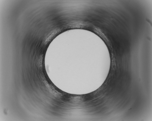 X0000099550058200806131221