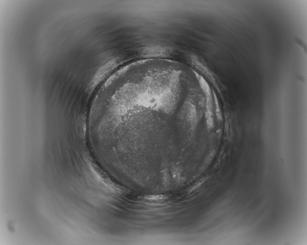 X0000099550059200806131221