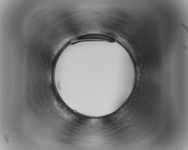 X0000099550060200806131221