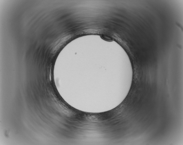 X0000099550062200806131221