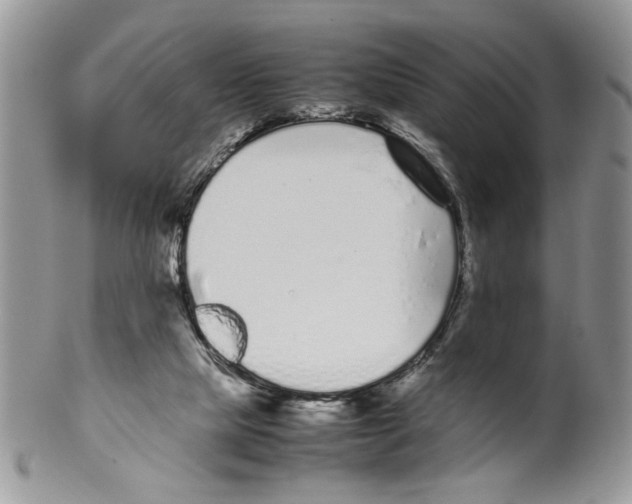 X0000099550065200806131221