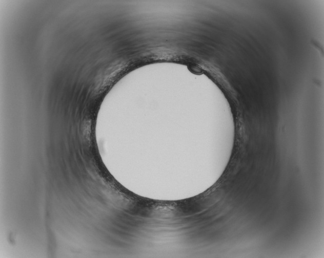 X0000099550066200806131221