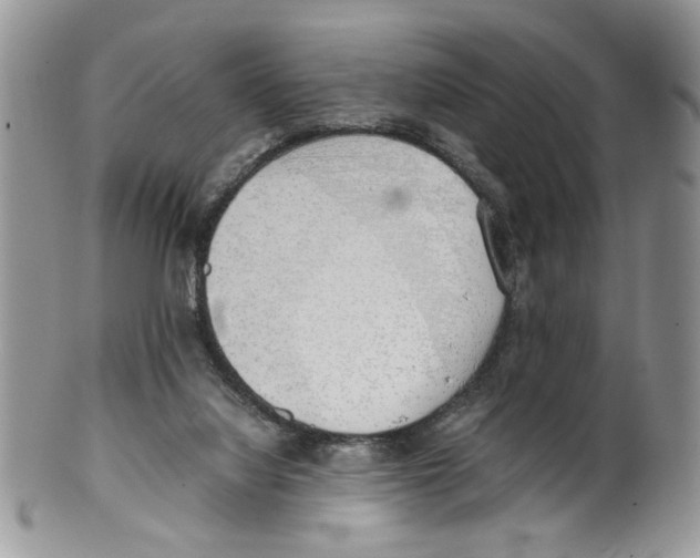 X0000099550068200806131221