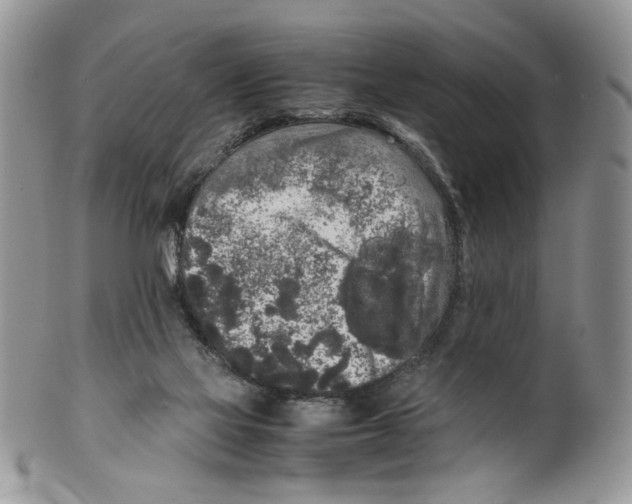 X0000099550069200806131221