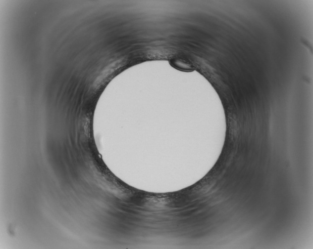 X0000099550071200806131221