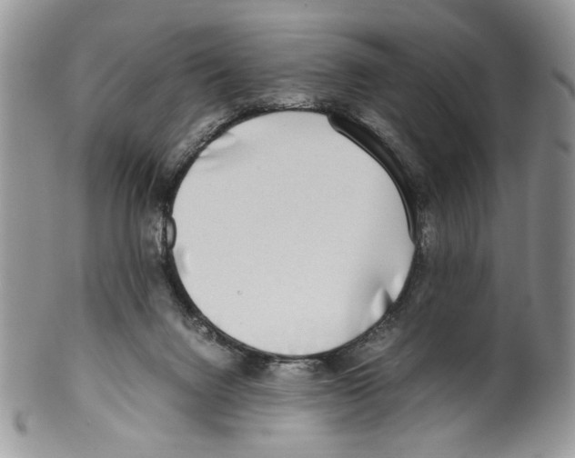 X0000099550072200806131221