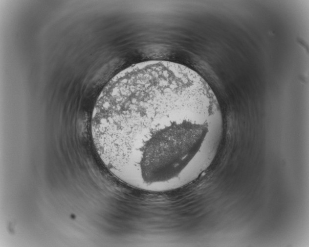 X0000099550073200806131221