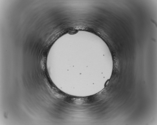 X0000099550074200806131221