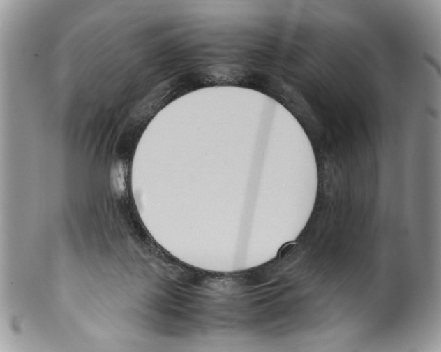 X0000099550075200806131221