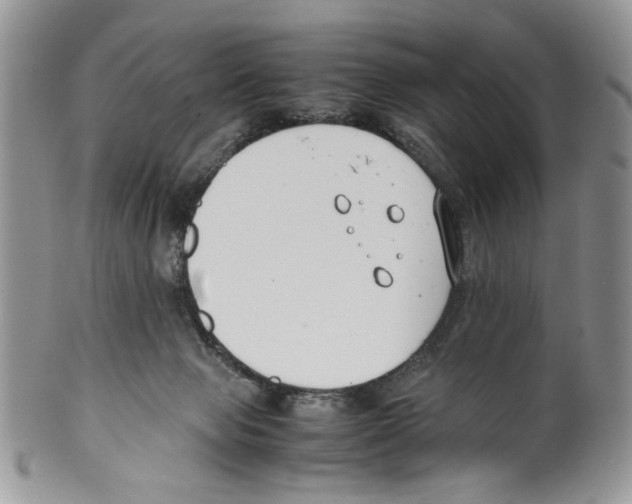 X0000099550077200806131221