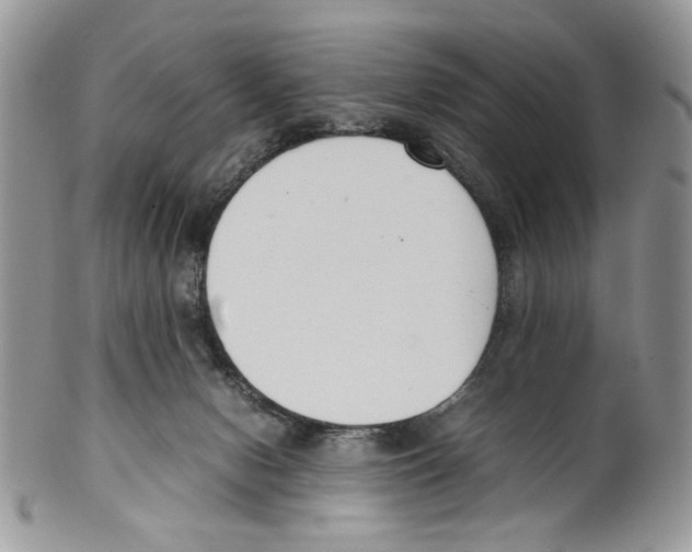 X0000099550078200806131221