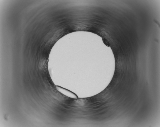 X0000099550079200806131221