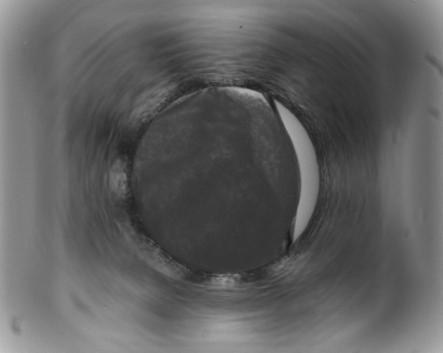 X0000099550080200806131221