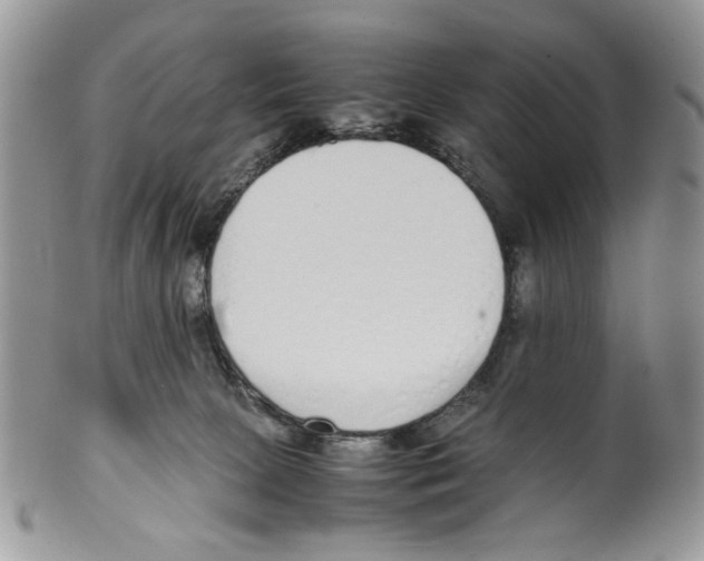 X0000099550081200806131221