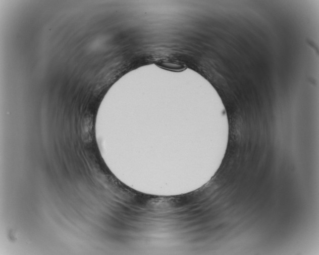 X0000099550082200806131221