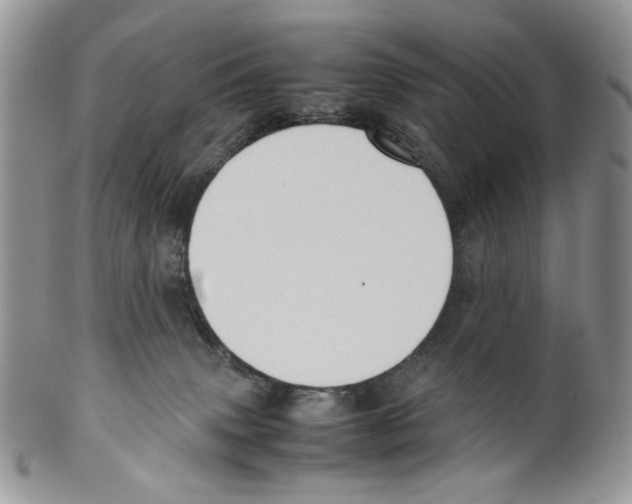 X0000099550083200806131221