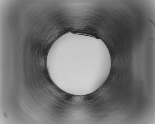 X0000099550084200806131221