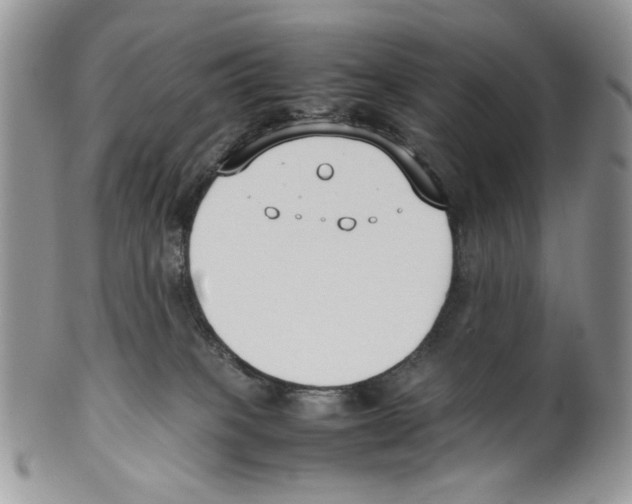 X0000099550085200806131221