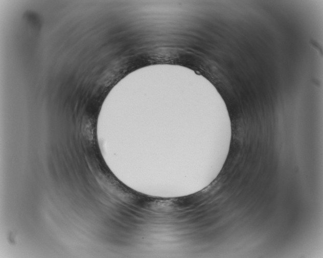 X0000099550086200806131221