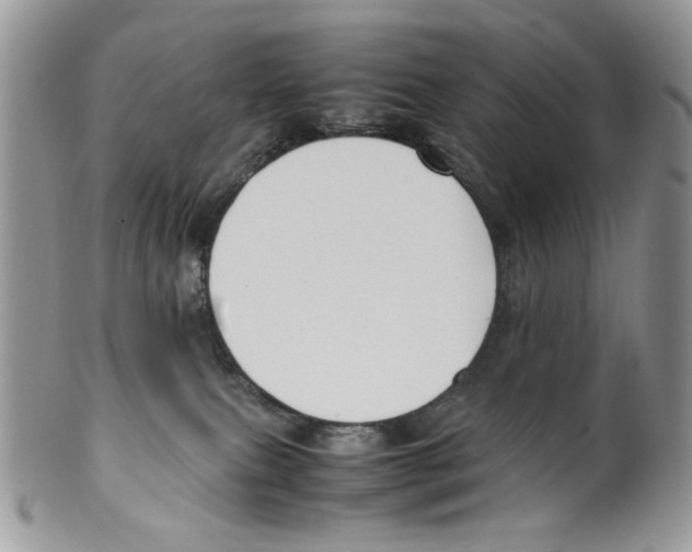 X0000099550087200806131221