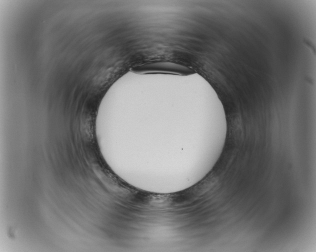 X0000099550088200806131221