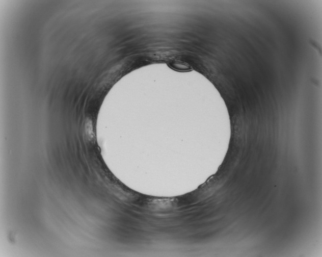 X0000099550089200806131221