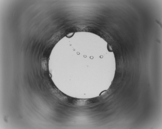 X0000099550090200806131221