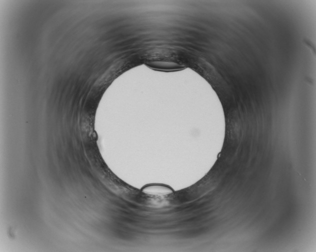 X0000099550091200806131221