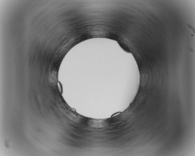 X0000099550093200806131221